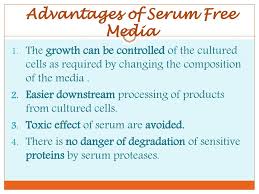 Using media formulated without serum or animal components reduces risk of contamination with adventitious agents, streamlines regulatory human serum albumin, has a multifaceted biological role and its inclusion in cell culture media has been shown to be extremely beneficial for the propagation. Role Of Serum And Its Supplements Ppt Download