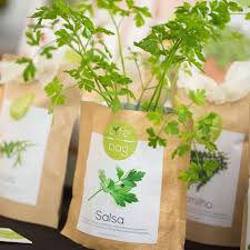 Potager D Interieur Les Raffineurs Potager Plantes Aromatiques Potager Vertical