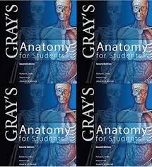 Gray S Anatomy For Students Pdf For Free Download Offers A Tightly Focused Comprehensive And Well Versed Text On The Greys Anatomy Medical Science Education