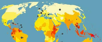 Ahtapot Un Kollari Asya Yi Hizla Sariyor Ahtapot Asya Ve Atlar