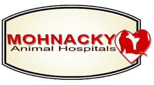 If only one doctor is on duty, we will not accept regular office appointments sundays between 9 and 11 am. Mohnacky Animal Hospitals In California Serving Carlsbad Escondido And Vista Mohnacky Animal Hospitals In California
