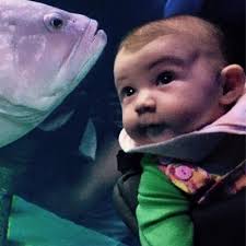 jay waiters (@jaymoney18)