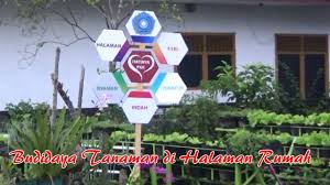 Budidaya Tanaman Di Halaman Rumah Tanaman Halaman Rumah