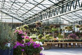 Four people from two different households can meet up outdoors to socialise, including in gardens (children are excluded from the number). Garden Centres Opening Everything You Need To Know