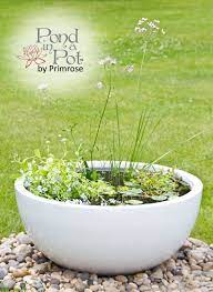 Check spelling or type a new query. Wildlife Friendly Pond In A Pot Kit With White Fibreglass 72cm Planter 129 99 Solar Water Feature Water Features Edging Plants