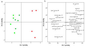 We did not find results for: Conversion To Organic And Biodynamic Viticultural Practices Impact On Soil Grapevine Development And Grape Quality Oeno One