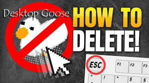 Check spelling or type a new query. How To Remove Desktop Goose Virus From Mac Macsecurity