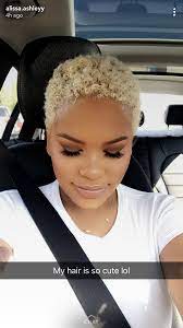Pin By Blkgirlcentre On Alissa Arnel Short Natural Hair Styles Blonde Natural Hair Natural Hair Styles