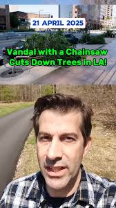 Chainsaw Trees Downtown Los Angeles