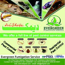 0330 100 2811 0800 026 0308 or 0330 100 2811. Posters Evergreen Fumigation Services