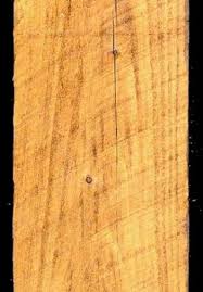 Poplar looked awesome in almost every one except the golden pecan. Eastern White Pine Timber Finishes Early American Stain