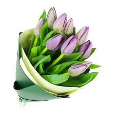 We have a pan australia presence. Purple Tulip Bunch