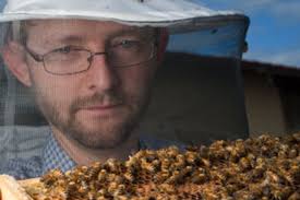 The bee's knees: WA researchers saving the world