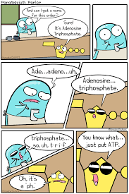 Science With The Amoeba Sisters Paramecium Parlor Comics