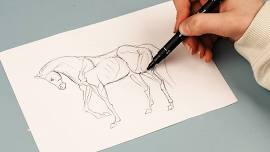 Drawing with David