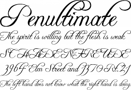 On this page you can download freebooter script font version 1, which belongs to the family freebooter script (regular tracing). Freebooter Script Font Free By Apostrophic Labs Font Squirrel