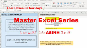 Master Excel Series Asinh Formula Excel Formula Learning