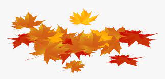 Get it as soon as mon, jun 14. Thanksgiving Leaves Png Autumn Leaf Png Transparent Png Transparent Png Image Pngitem