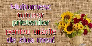 Adaugă Pin Pe Mulțumesc