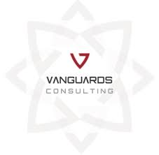 V Ngu Rds Consulting