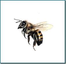 Bumble bee images stock photos vectors shutterstock. 23 Awesome Realistic Bee Tattoos Bee Tattoo Honey Bee Tattoo Queen Bee Tattoo