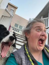 Which fictional roller coaster would you want to ride?