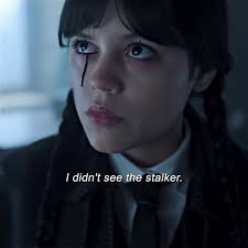 Elio (@sofia.sofia4501)