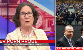 Claim that Tory MP was watching PORN in the Commons will be investigated |  Daily Mail Online