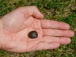 Nebo zadejte inzerát zdarma a rychle prodejte nepoužívané zboží na největším internetovém . Vltavin Ottendorf Okrilla Evropa Vltavin A Dalsi Tektity