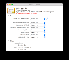 How To Create Your Own Ssl Certificate Authority For Local Https Development