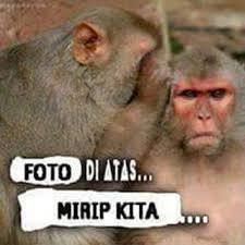  Wow 25 Gambar Komentar Lucu Bahasa Jawa Koleksi Gambar Lucu Di 2020 Gambar Lucu Cartoon Jokes Lucu