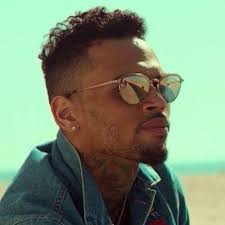 Chris Brown Hairstyle Men S Hairstyle Swag In 2020 Chris Brown Hair Chris Brown Photoshoot Chris Brown
