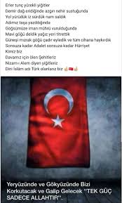 Turk Panosundaki Pin