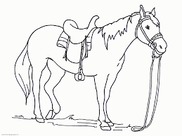 The original format for whitepages was a p. Free Printable Coloring Page Horse Great Coloring Pages Coloring Home
