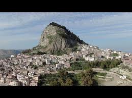 Image result for Sutera debilis