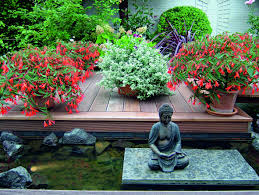 We did not find results for: Container Gardening Tips For Your Outdoor Space Architectural Digest