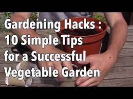 Pin On Gardening