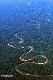Confira outros produtos disponíveis na nova loja da nintendo na amazon brasil. Amazon Rainforest Floresta Amazonica Amazonas Brasil Floresta Amazonica