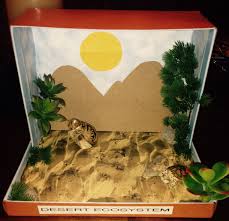 Desert Biome In A Box Desert Ecosystem Shoe Box Habitats Projects Diorama Kids Biomes Project
