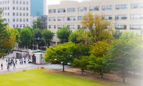 청원 글 작성자는 교사 개인의 sns에 정치적 견해를 올린. ê²½í–¥ì‹ ë¬¸