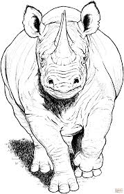 Pin By Ali Aziz On Rhino In 2020 Coloring Pages Free Printable Coloring Pages Printable Coloring Pages