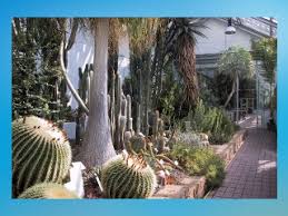 Karte Und Anfahrt Zum Botanischer Garten Leipzig Garten In Leipzig