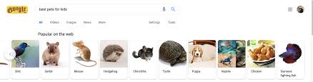 Chosing the best type of pet reptiles iguana, reptile, animals iguana, reptile, animals below is a list of popular breeds: Best Pets For Kids Facepalm