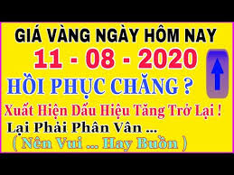 Gia Vang 9999 Hom Nay 11 8 2020 Bao Nhieu Một Chỉ Gia Vang Sjc 9999 Phục Hồi đa Tăng Chăng Youtube