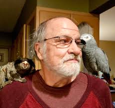 Hear me out! What if we created a national tortoise shell day, and each  year we chose one location in the U.S where we all bring them together to  meet!?