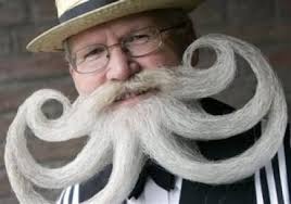Image result for Blonde beards grow faster than: darker beards.