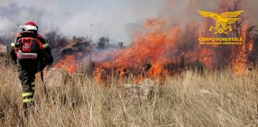 SardegnaCorpoForestale - Chi siamo - Notizie - Riepilogo incendi con  interventi aereo