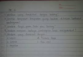 Soal Yang Diatas Minta Tolong Dijawab Ya Brainly Co Id