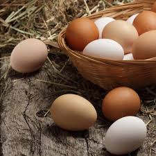Ini kemungkinan yang menyebabkan permasalahan telur ngedrop dan ayam banyak yang pilek. 7 Jenis Telur Ayam Mana Yang Paling Sehat