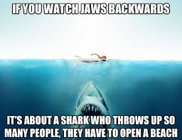 Jaws Sharks Funny Funny Pictures Hilarious
